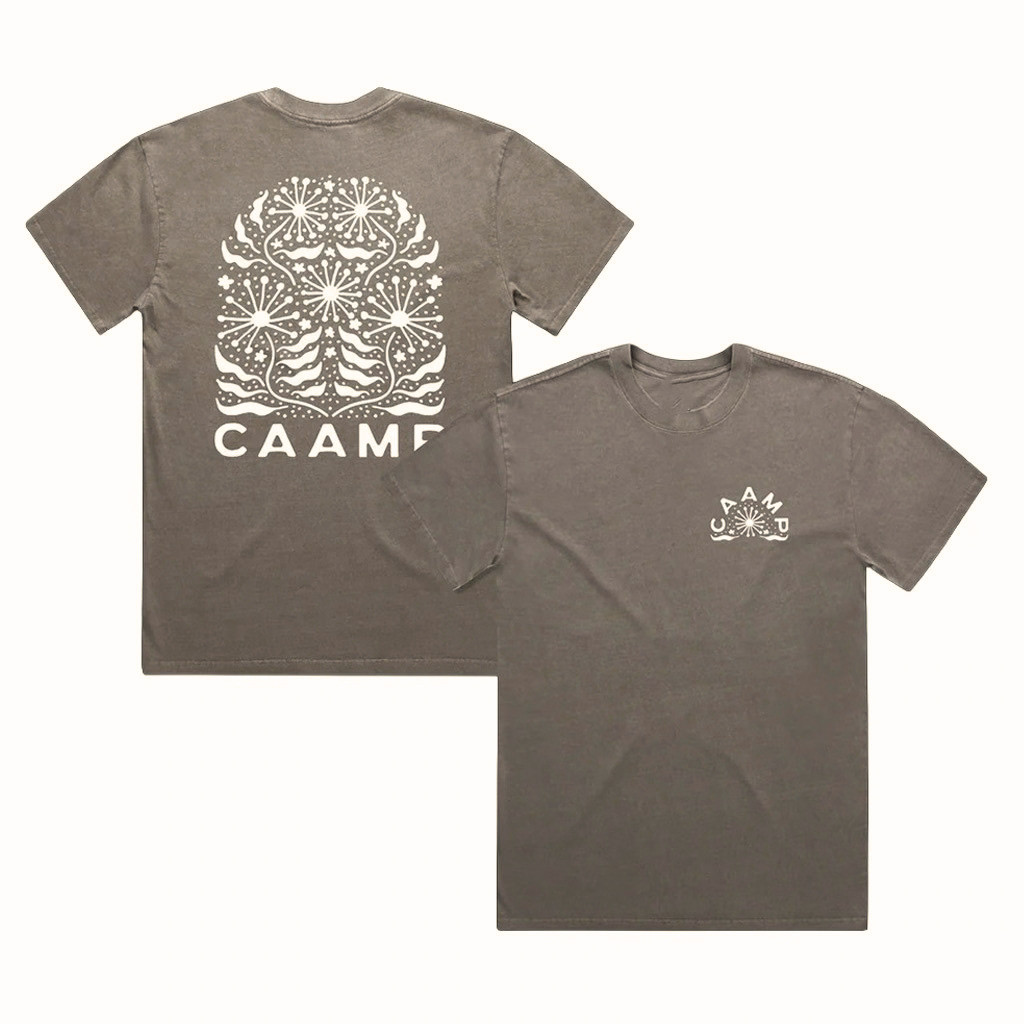 Caamp Merch Dandelion Heavy Faded T-Shirt Gift For Indie Folk Lover 1 - Unicasport Caamp Merch Dandelion Heavy Faded T-Shirt Gift For Indie Folk Lover