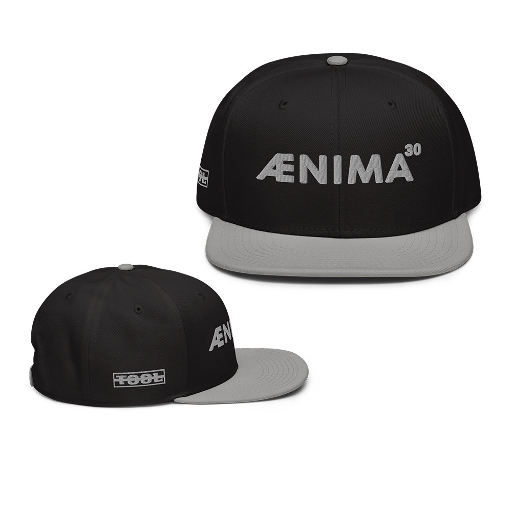 Tool Merch Aenima 30 Snapback Hat Tool Snapback Cap Presents For Fans